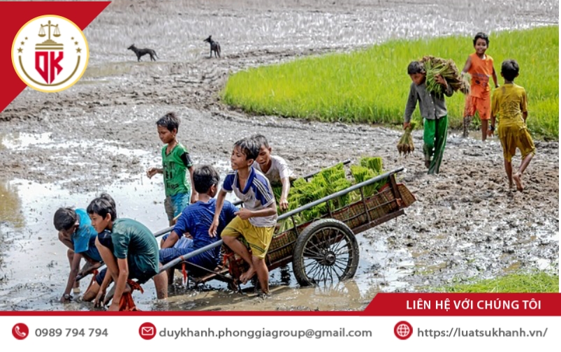 chuyen-doi-co-cau-cay-trong-vat-nuoi-tren-dat-trong-lua